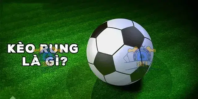 Kèo Rung Bí Quyết Thành Công Trong Cá Cược Bóng Đá 2 Thấu Hiểu Bản Chất Của Kèo Rung