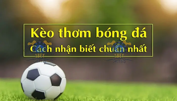 Bắt Kèo Thơm Cá Cược Bóng Đá - Bí Quyết Thành Công 2 Phân tích phong độ đội bóng